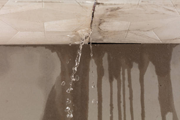 Professional Structural Drying technician working in Brinkhaven, OH